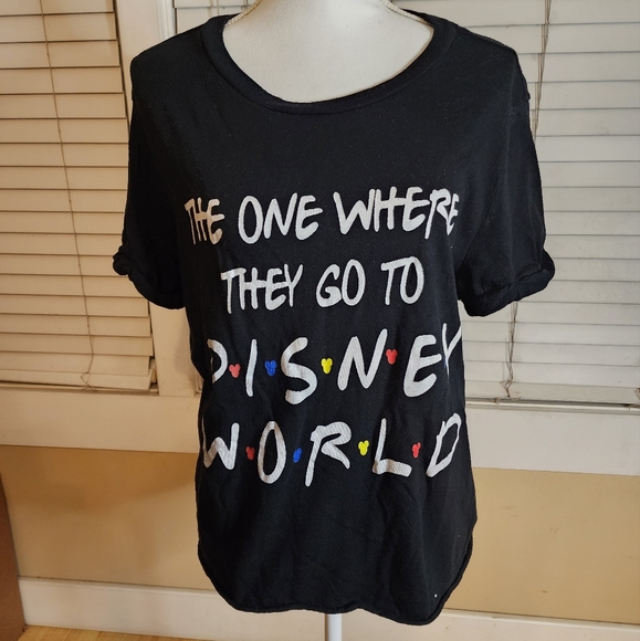 wild fable Tops - Wild Fable Women's Friends Inspired Disney T-shirt ✨️